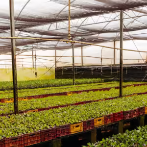 premium_photo-1680322474521-60fcadf0a416